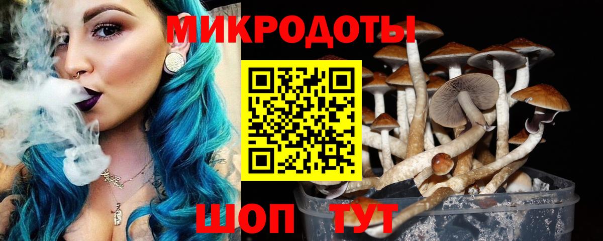 Сухой Лог  Галлюциногенные грибы GOLDEN TEACHER  Псилоцибиновые грибы Psilocybine cubensis  где найти   Вход с VPN 